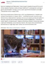 Кошка Муся, живущая в петербургской библиотеке им. Маяковского